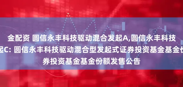 金配资 圆信永丰科技驱动混合发起A,圆信永丰科技驱动混合发起C: 圆信永丰科技驱动混合型发起式证券投资基金基金份额发售公告