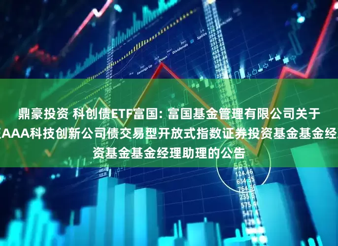 鼎豪投资 科创债ETF富国: 富国基金管理有限公司关于增聘富国中证AAA科技创新公司债交易型开放式指数证券投资基金基金经理助理的公告