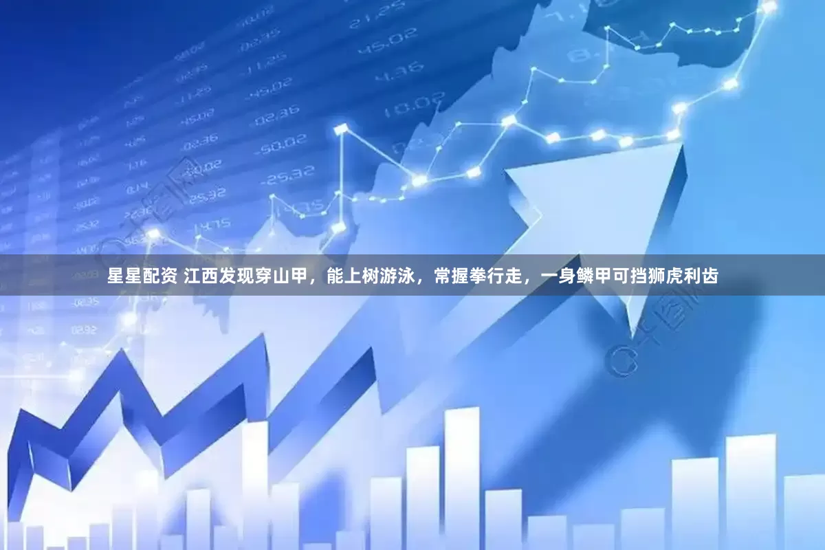 星星配资 江西发现穿山甲，能上树游泳，常握拳行走，一身鳞甲可挡狮虎利齿