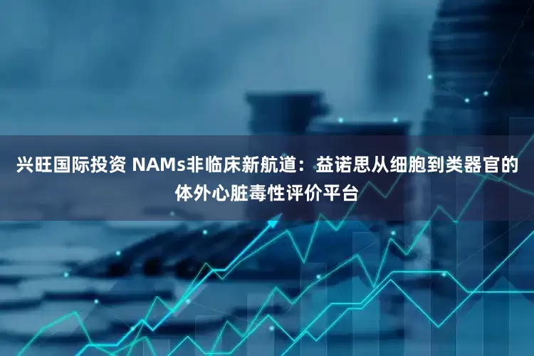 兴旺国际投资 NAMs非临床新航道：益诺思从细胞到类器官的体外心脏毒性评价平台