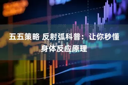 五五策略 反射弧科普：让你秒懂身体反应原理