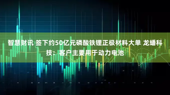 智慧财讯 签下约50亿元磷酸铁锂正极材料大单 龙蟠科技:客户主要用于动力电池