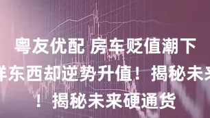 粤友优配 房车贬值潮下，这两样东西却逆势升值！揭秘未来硬通货